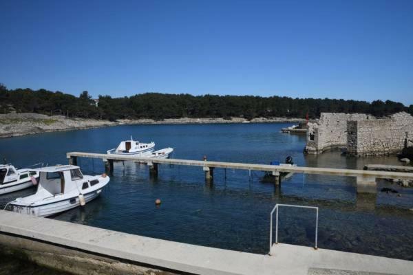 Apartment With Terrace And Sea View Mali Lošinj Zewnętrze zdjęcie